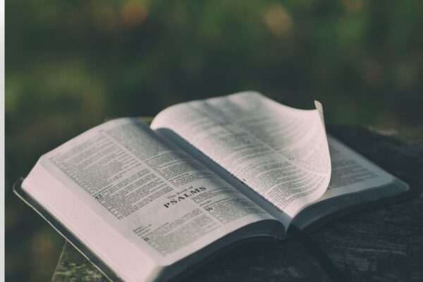 As Melhores Bíblias de Estudo