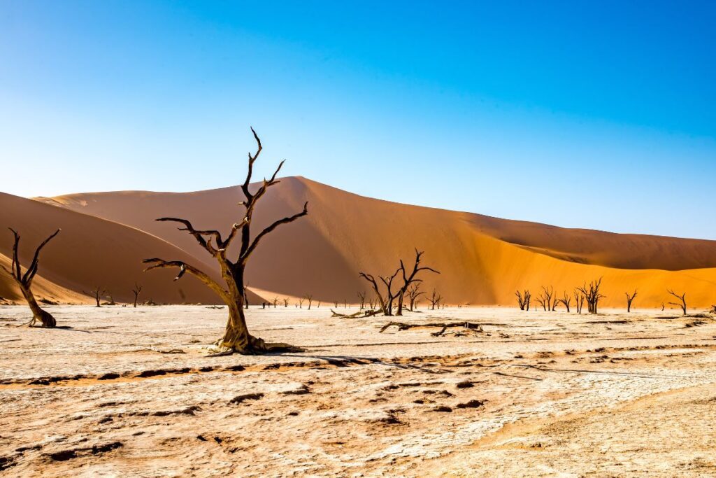 deserto na Bíblia